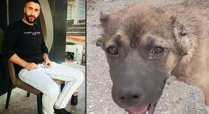 Köpeğin kulağını kesip işkence eden şahıs tutuklandı