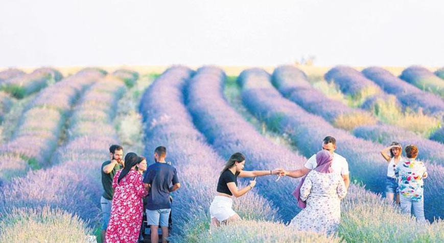 Uşak’ta ‘mor bahçeler’e ilgi gün geçtikçe artıyor