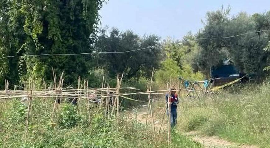 Tarlasını korumaya gitti, cansız bedeni bulundu Bölgemiz adeta yaban domuzlarının istilası altında