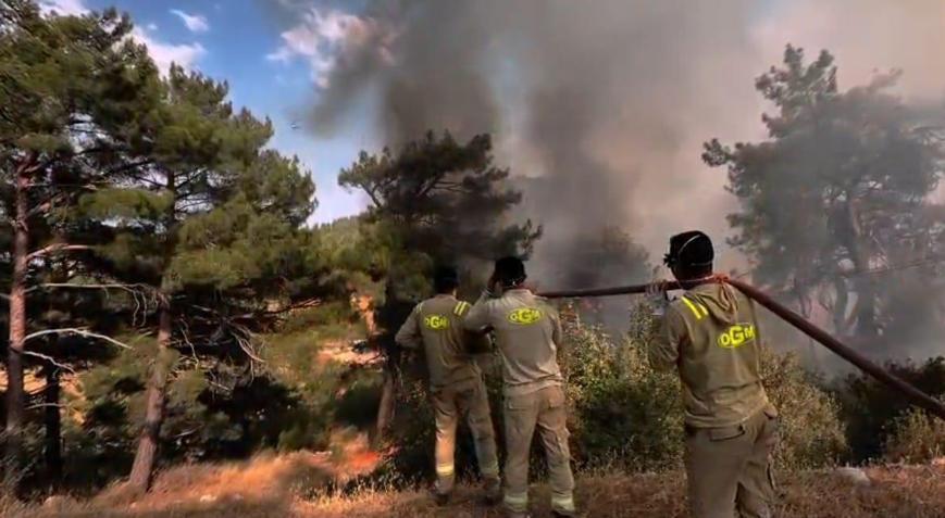 Mersindeki orman yangını 2nci gününde