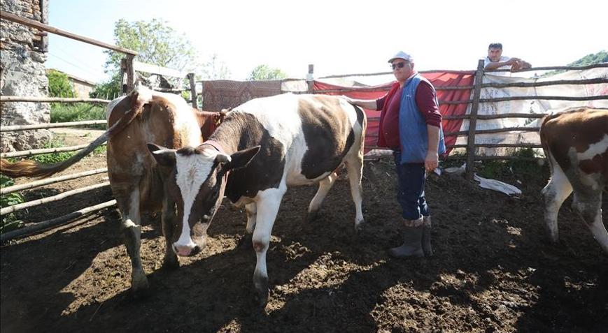 Devlet desteği ile sürü sahibi oldu