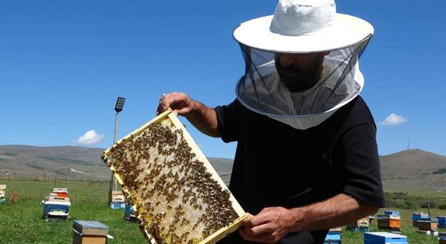 Coğrafi işaretli balın hasadı başladı Kilosu 1.500 TL