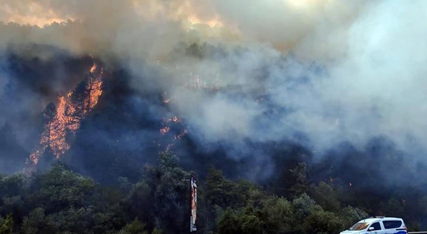 Boludaki orman yangını kontrol altına alındı