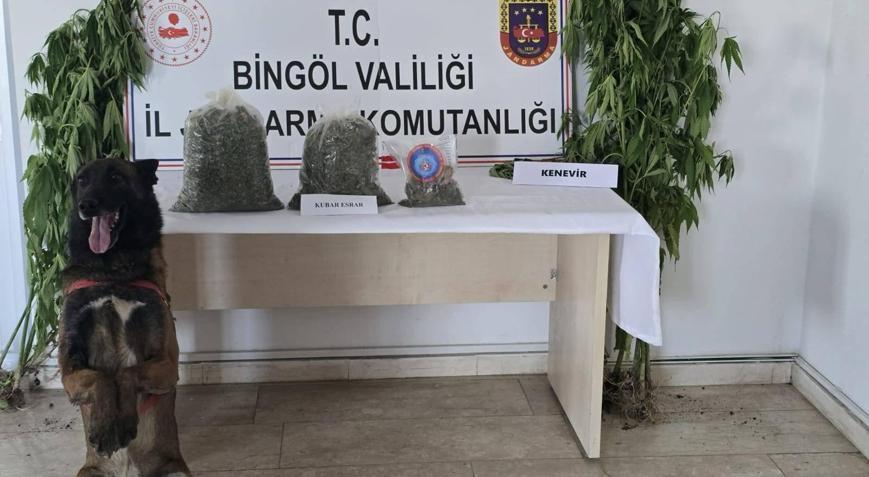 Bingöl’de 4 noktada uyuşturucu operasyonu