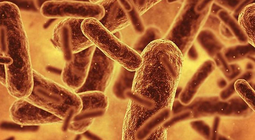 Bilim insanları bugüne kadarki en sentetik canlıyı oluşturdu