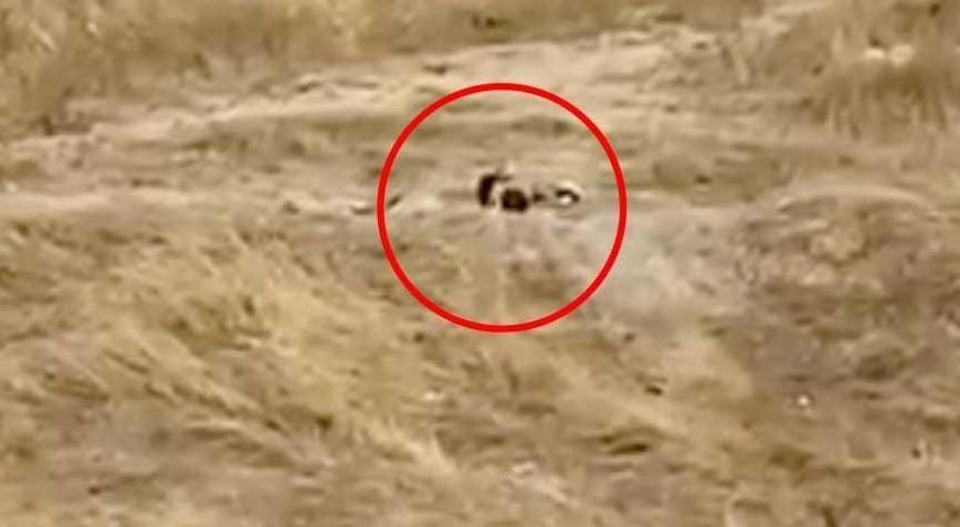 Tekirdağda uygunsuz hareketler sergileyen iki genç gözaltına alındı