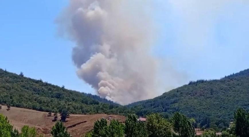 Bursa’da orman yangını