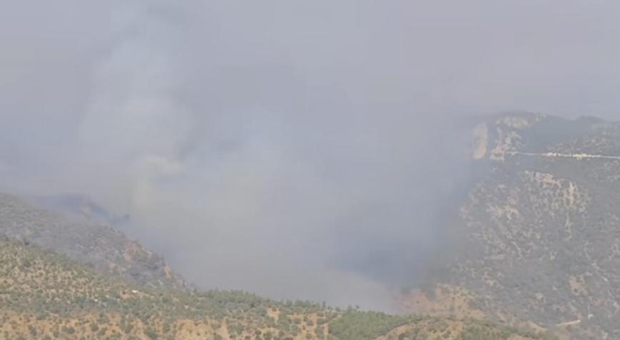Denizlideki orman yangını Aydına sıçradı