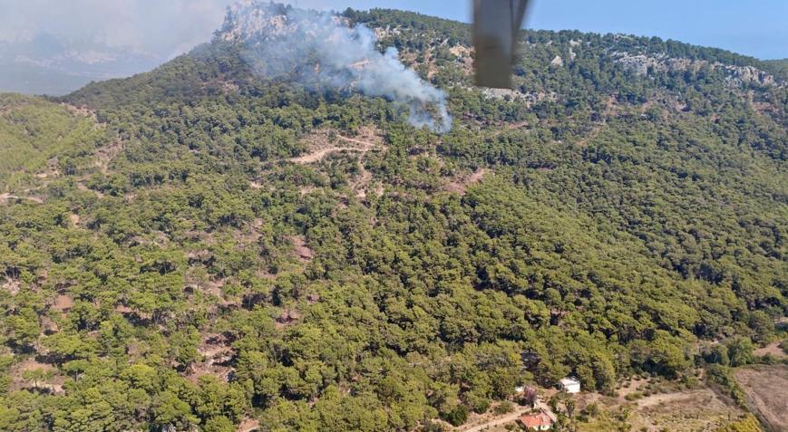 Antalyada orman yangını
