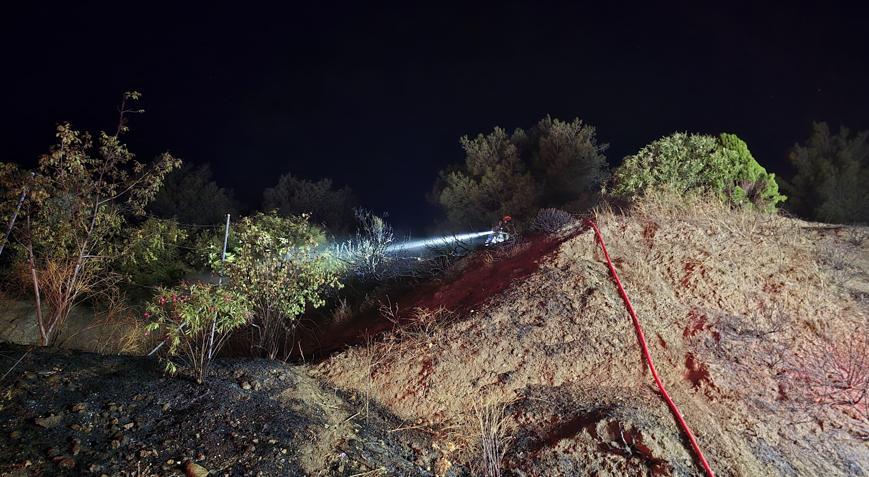 Bursa’da çıkan anız yangın yerleşim yerine ulaşmadan söndürüldü