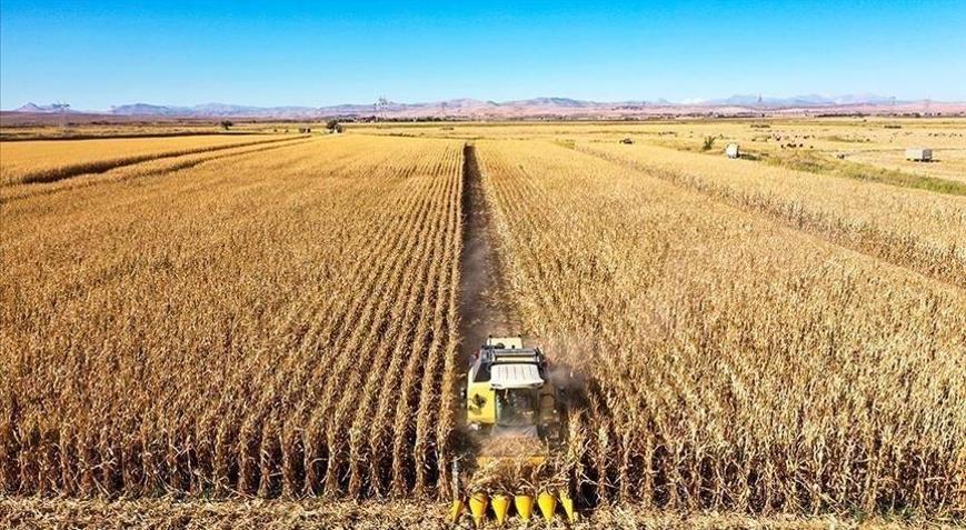 Tarım ÜFE ağustosta azaldı