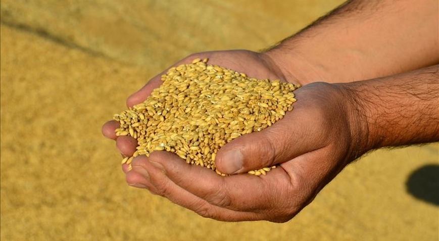 Güneydoğu Anadoluda hububat sektörü 2,3 milyar dolarlık ihracat gerçekleştirdi