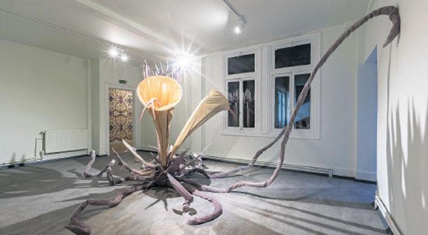 Üç ayaklı kedi ötekilerin bienali