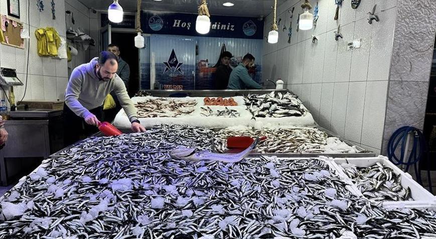 Hamsi avcılığı hem balıkçıyı hem tüketiciyi memnun etmeyi sürdürüyor