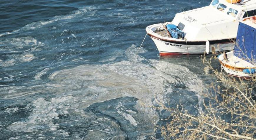 ‘Şakası kalmadı, Marmara Denizi ağır yaralı’