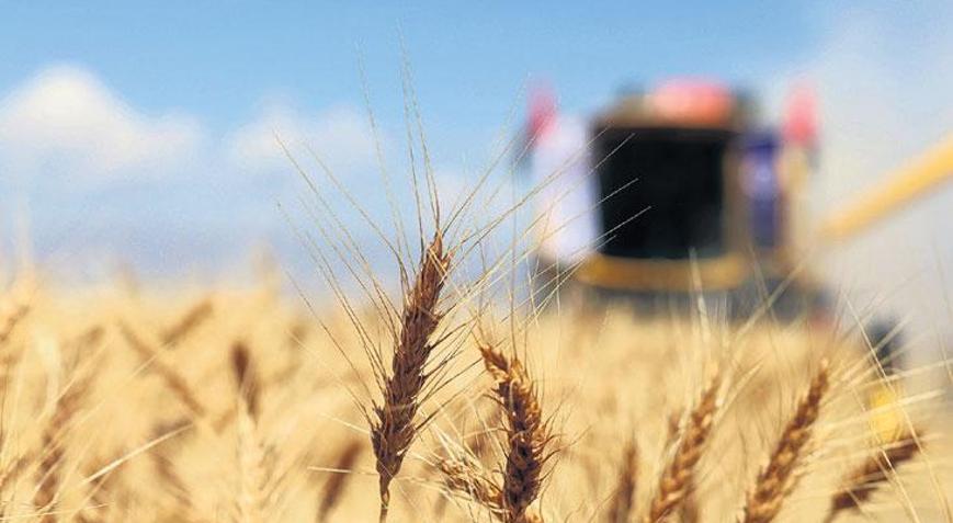 ‘Türkiye gıdada stratejik merkez olabilir’