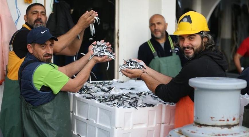 Hamsi bolluğu balıkçıların yüzünü güldürdü