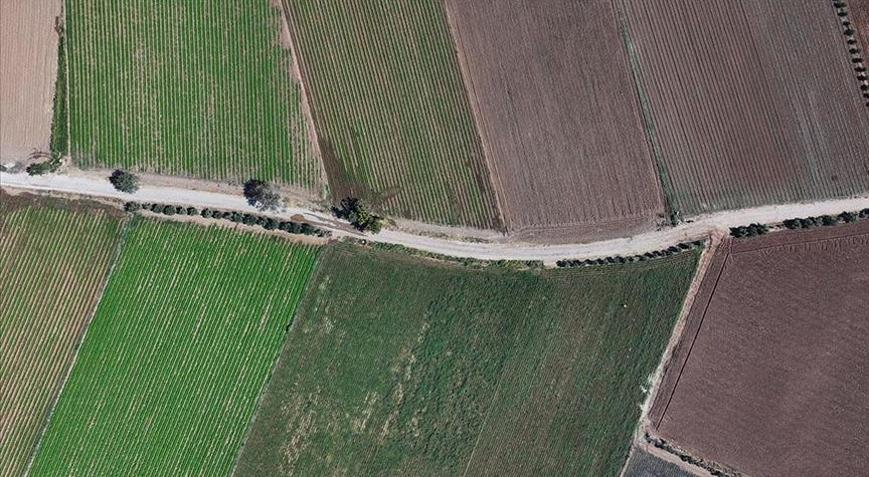 İzmir, üretim gücünü yerli çeşitlerle artıracak