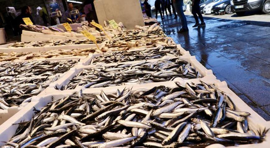 Hamsi balıkçı tezgahlarını süslüyor Kilosu 150 TL