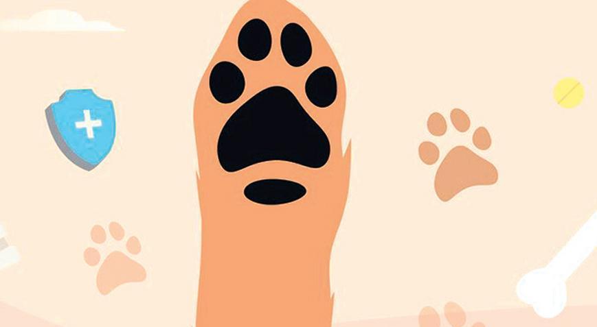 Kuduz riskli temaslar artıyor