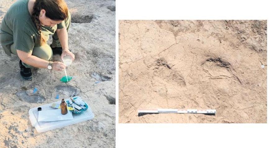 Adımlar yedi bin yıl önceden