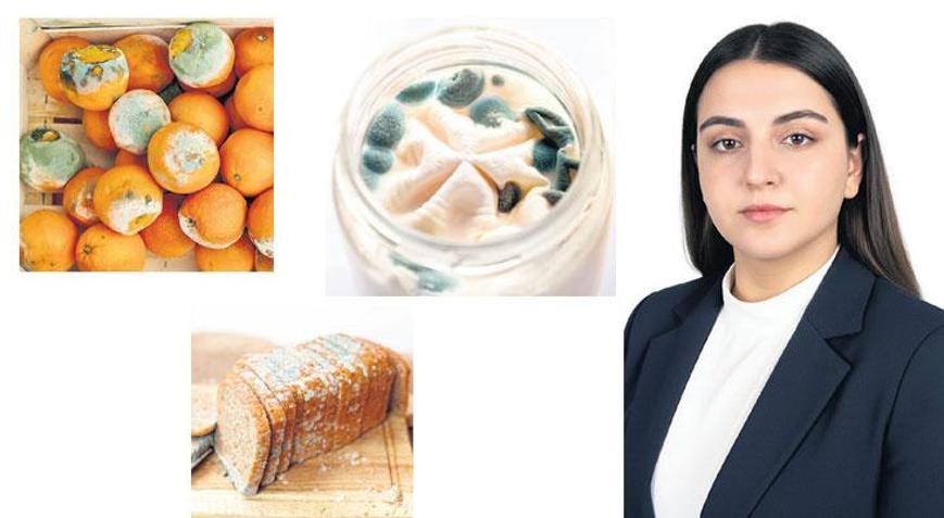 ‘Küflü gıdalar hastanelik eder’