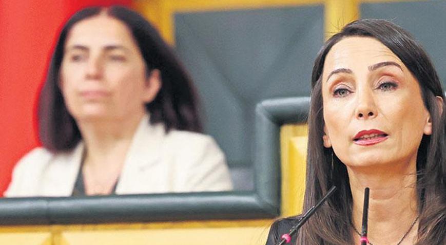 ‘Komisyon gitsin görüşünü alsın’