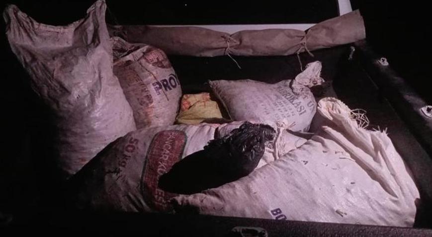 Tunceli’de Dağ Sarımsağı kaçakçılarına 557 bin TL idari para cezası