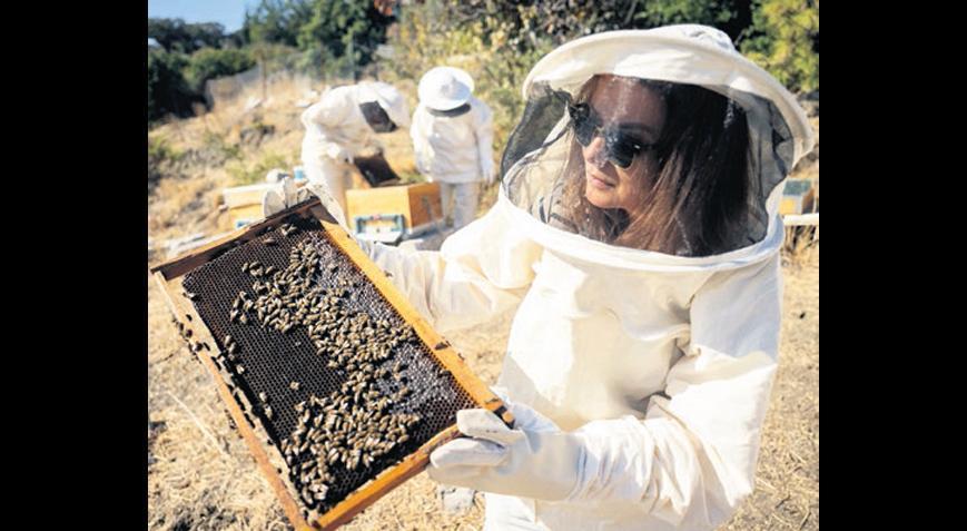 ‘Emeğin en tatlı karşılığı