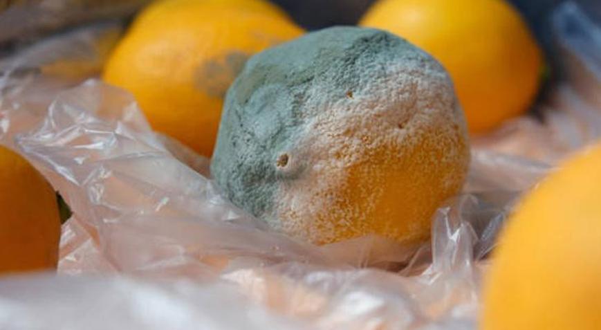 Limonu dolapta böyle saklayın 2 ay boyunca küflenmiyor, çürümüyor