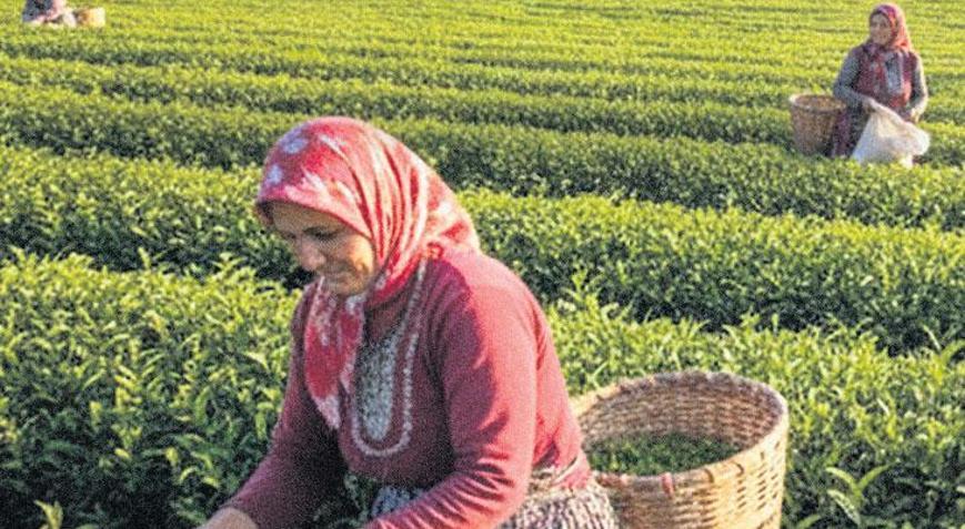 Çiftçi kadınlara özel kredi veriyor