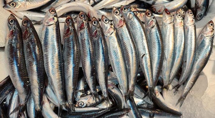 En kolay balık temizleme yöntemleri Saatlerinizi harcamayın