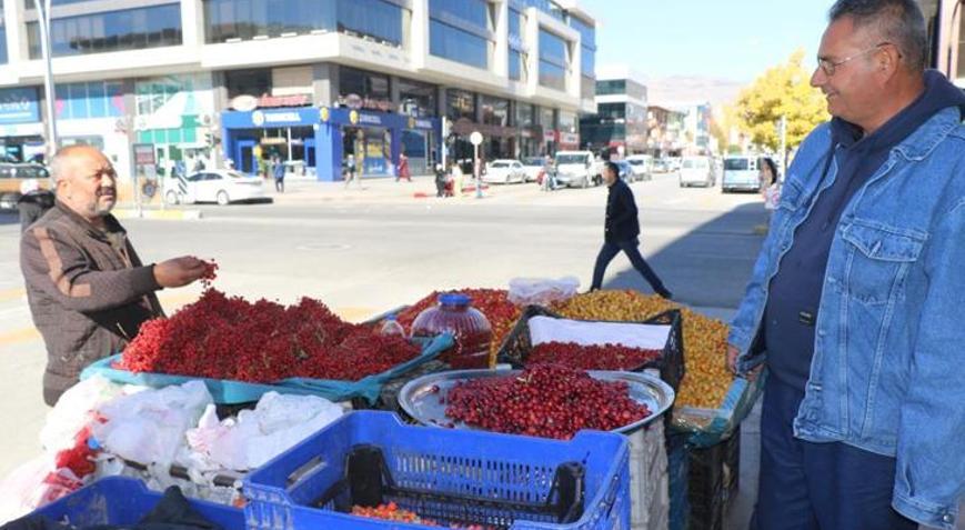 Seyyah doktor Erzincanda şifa dağıtıyor