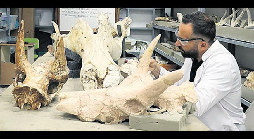 Kayseri’de fil yılı