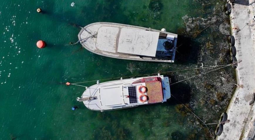 Müsilaj oluşumu görülen illerdeki balıkçılara ilave ödeme