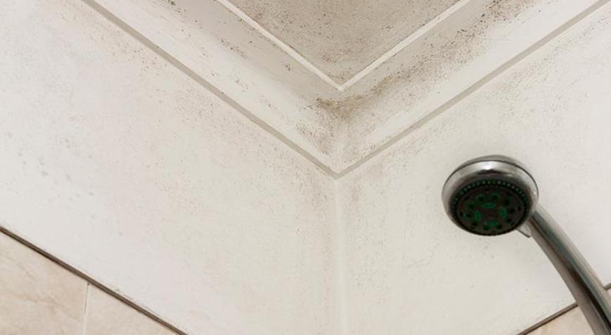 Banyoda küfün en büyük sebebi nem Bu karışım nemi emiyor