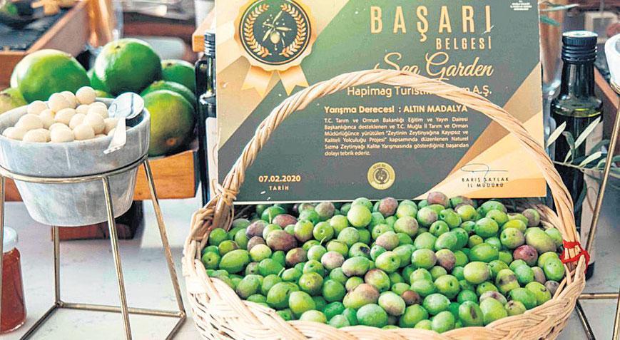 Zeytinyağının sürdürülebilir yaşama katkısını konuştular