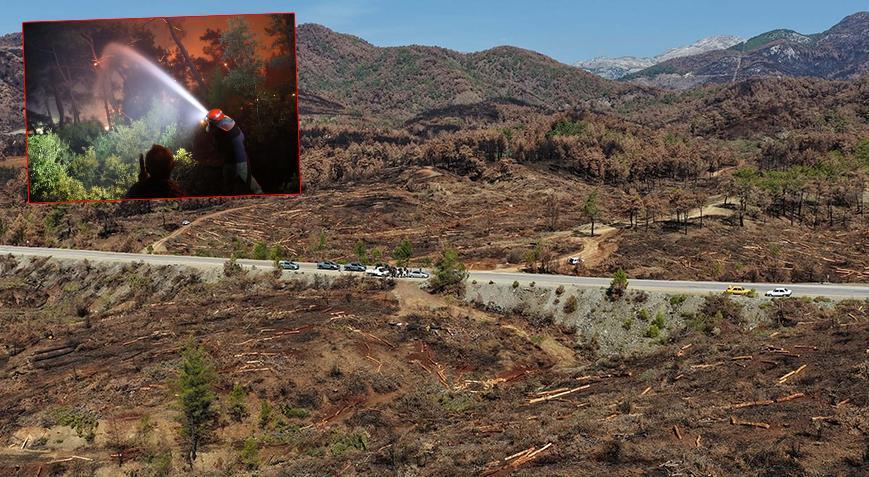 Köyceğizdeki yanan 2 bin 403 hektar alanda ağaçlandırma için hazırlıklar devam ediyor