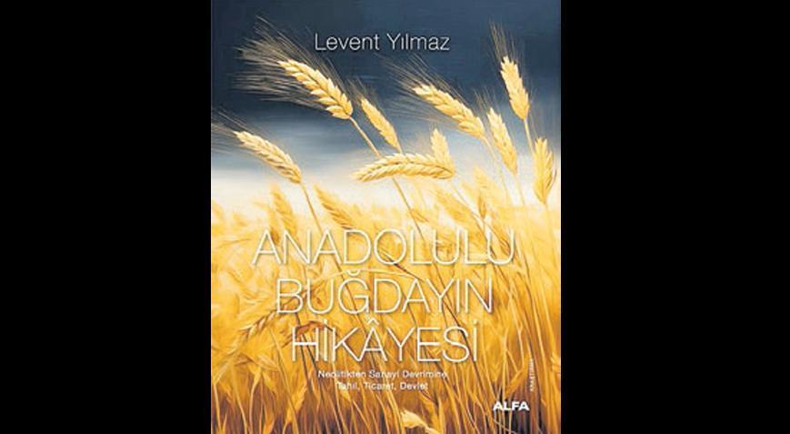 Anadolu buğdayının ‘bereketli’ öyküsü