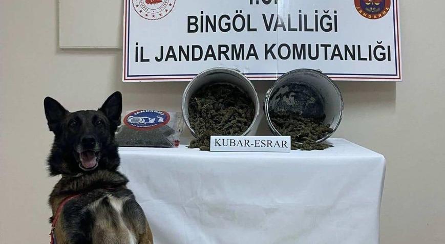 Bingöl’de uyuşturucu operasyonunda 1 tutuklama