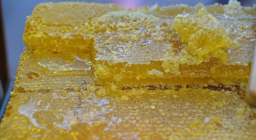 Doğu Karadenizin bal ihracatı 1,7 milyon doları aştı