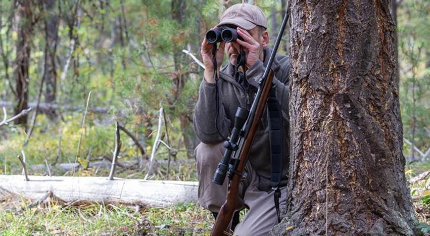 Japonyada ayı saldırılarıyla mücadele etmek için lisanslı avcı aranıyor