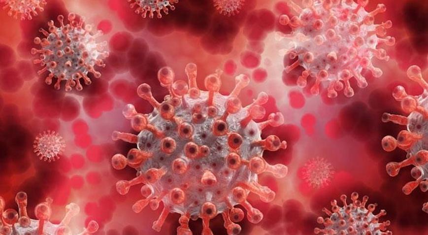 Kontrol edilmezse salgın kapıda DSÖden ürküten açıklama: M çiçeği virüsü artık dünyanın birçok ülkesinde