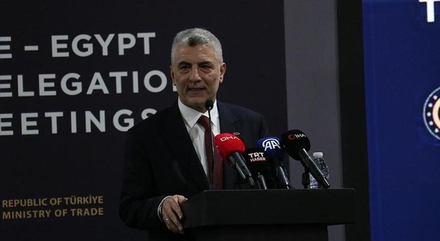 Bakan Bolat, Mısırlı ve Suudi Arabistanlı yetkililerle görüştü