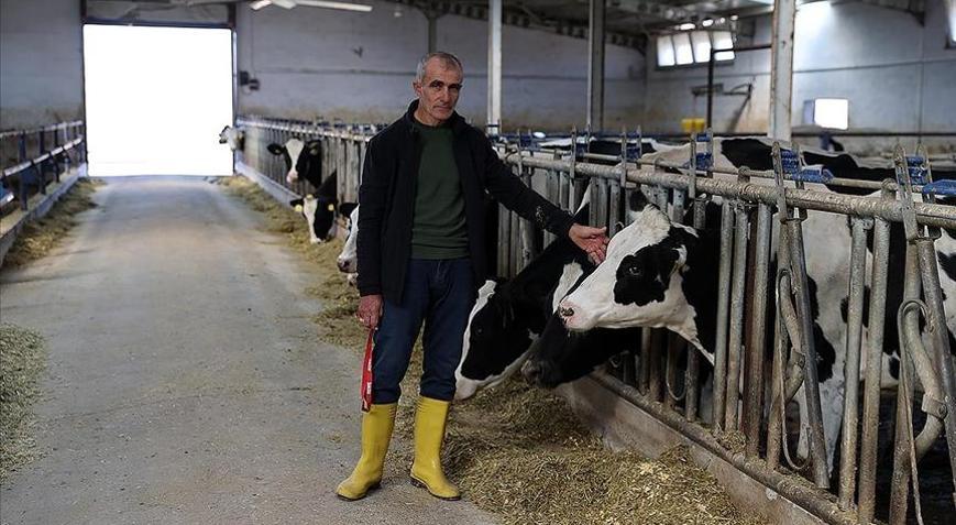 Devlet desteğiyle kurdu Günlük 1 ton süt elde ediyor