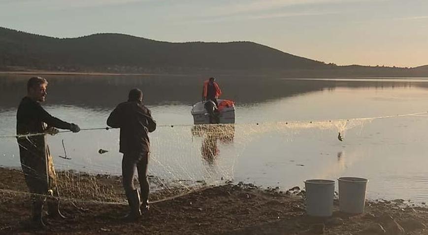 5 bin metrelik kaçak ağa baskın Seben Göleti’nde 500 balık kurtarıldı
