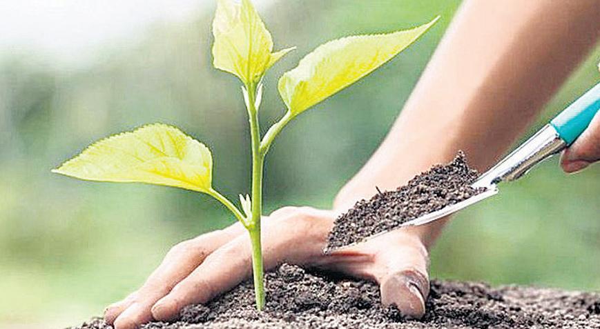 Yeşil vatan seferberliği 11 Kasım’da başlıyor