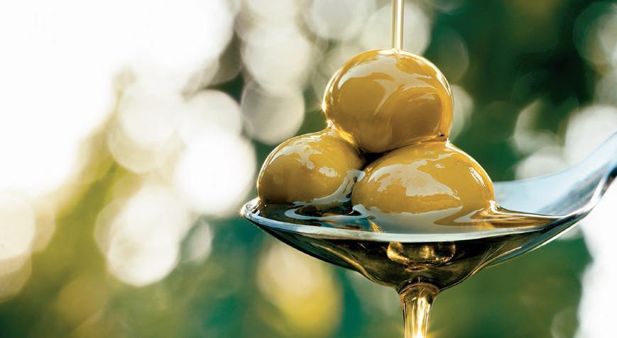 Köklerini zeytinle yaşatıyor