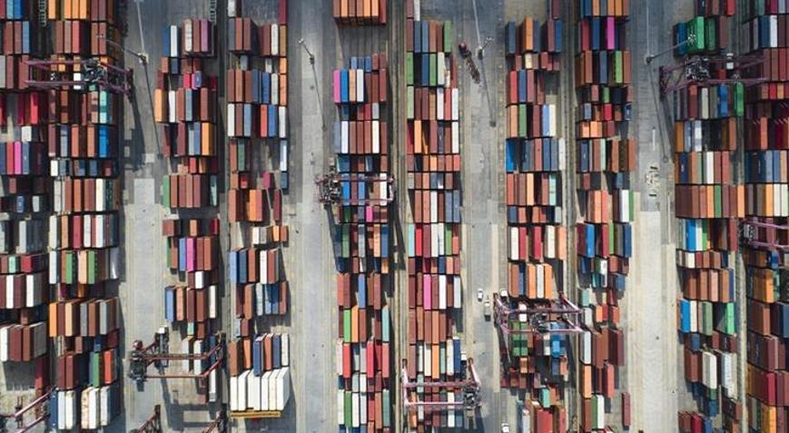 Türkiyenin hububat, bakliyat, yağlı tohumlar ihracatı 10 ayda 10 milyar doları aştı