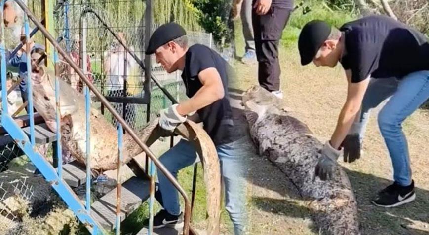 Yer: Sakarya Amatör balıkçının oltasına servet takıldı: ‘Rahat bir 70 kilosu var’